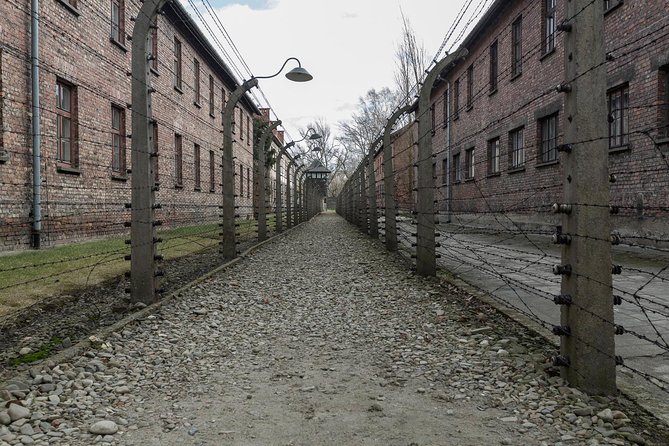 Auschwitz-Birkenau & Wieliczka in one day (Guided tour) - Transport, Pickup, and Group Size
