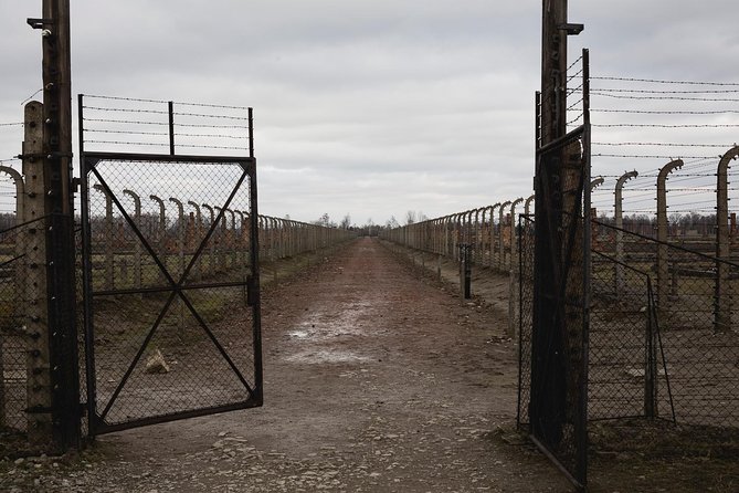 Auschwitz-Birkenau & Wieliczka in one day (Guided tour) - Who Should Book This Experience?