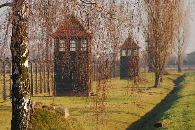 Auschwitz Guided Tour - The one-hour visit at Birkenau