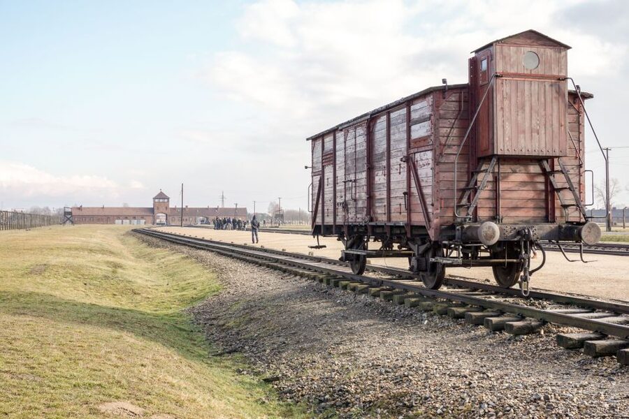 Auschwitz Ticket and Full-Day Tour from Krakow - Who will like this tour most