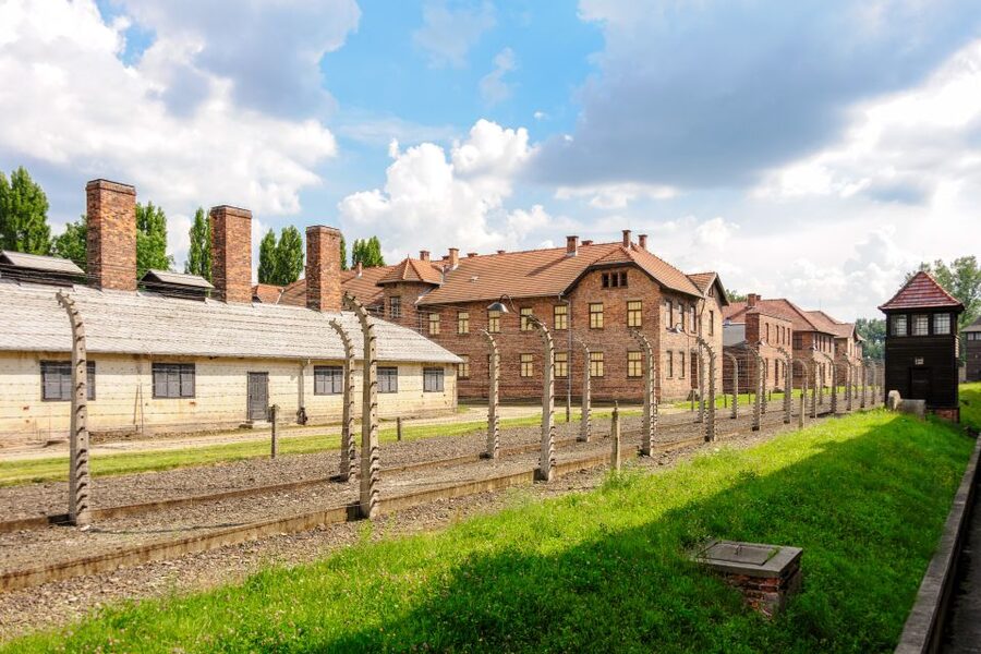 Auschwitz Ticket and Full-Day Tour from Krakow - What the $96 price really includes