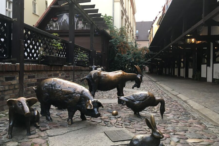 Best of Wroclaw 3-Hour History and Culture Walking Tour - Key points at a glance