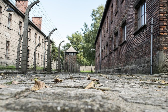 Combined: Auschwitz Birkenau and Salt Mine private chauffeur from Krakow - Auschwitz: two hours inside the first camp