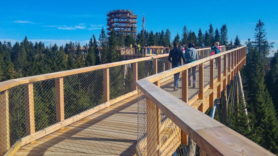 Dunajec River Gorge Rafting and Tree Top Walk from Krakow - Crossing into Slovakia for the Bachledka Treetop Walk