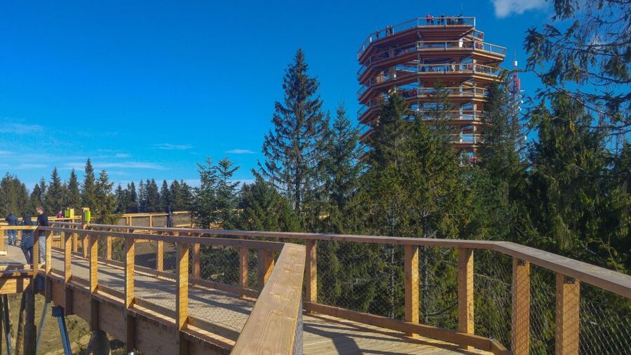 Dunajec River Gorge Rafting and Tree Top Walk from Krakow - Is $187 a fair price?