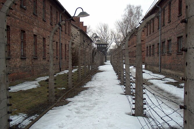 Exclusive Small Group Auschwitz-Birkenau Guided Tour from Krakow - Lunch, short breaks, and the practical rhythm