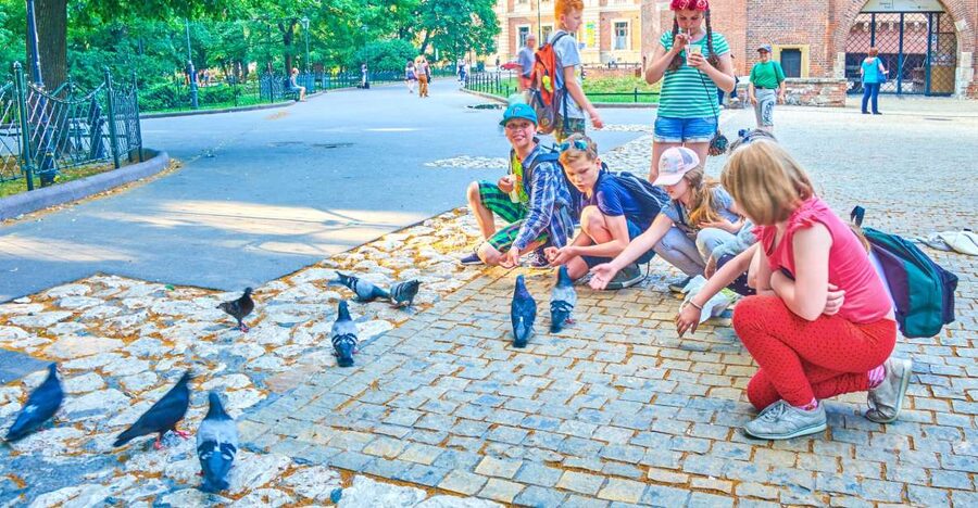 Family Tour of Krakow Old Town with Sweets Factory & Cruise - Starting at Krakow’s Barbican and Floriańska Street