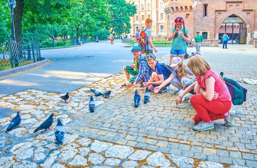 Family Tour of Krakow Old Town with Sweets Factory & Cruise - Floriańska Street and the Main Market Square