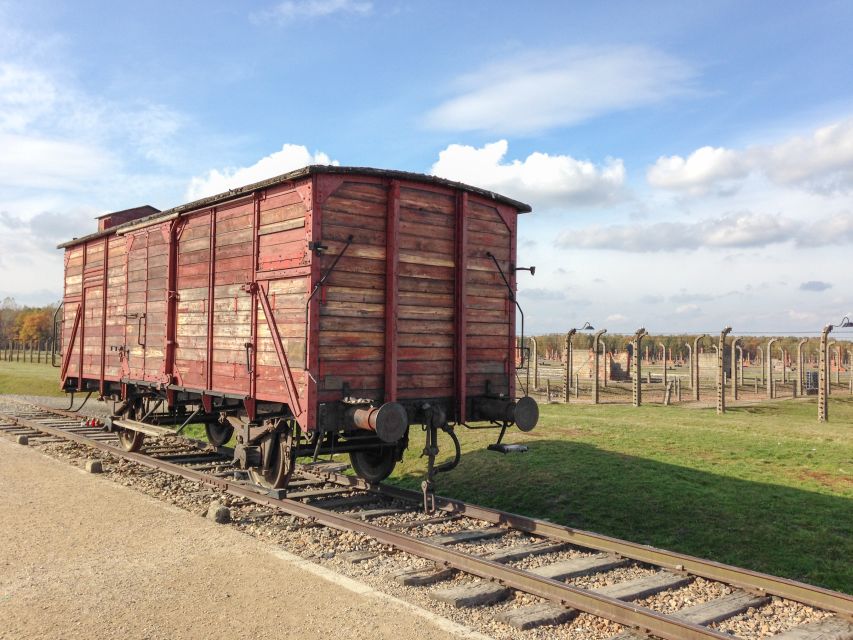 From Krakow: Auschwitz and Wieliczka Salt Mine Full-Day Trip - Birkenau and the scale of the camp