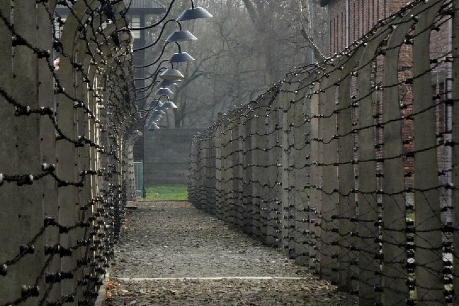From Krakow: Auschwitz Birkenau and Salt Mine Guided Tour - Transport, guides, and how the day runs