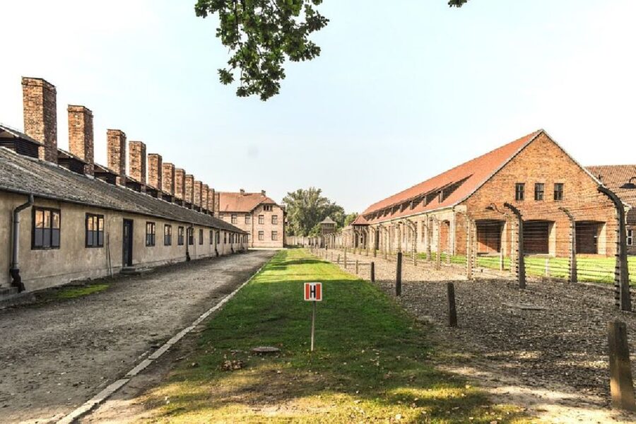From Krakow: Auschwitz Birkenau and Salt Mine Guided Tour - Starting in Krakow: pickup or Wielopole Street