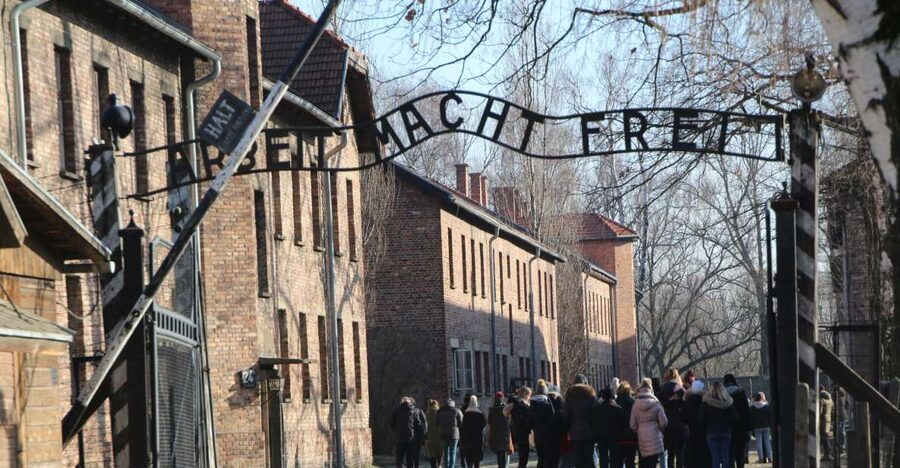 From Krakow: Auschwitz-Birkenau and Self-Guided Day Tour - Key points before you book