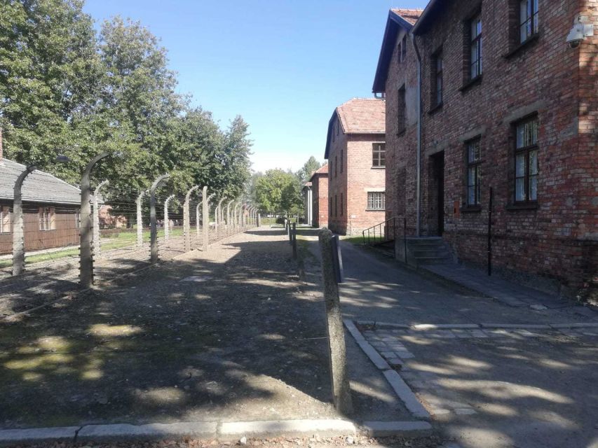 From Krakow: Auschwitz-Birkenau and Self-Guided Day Tour - How the self-guided format affects the experience