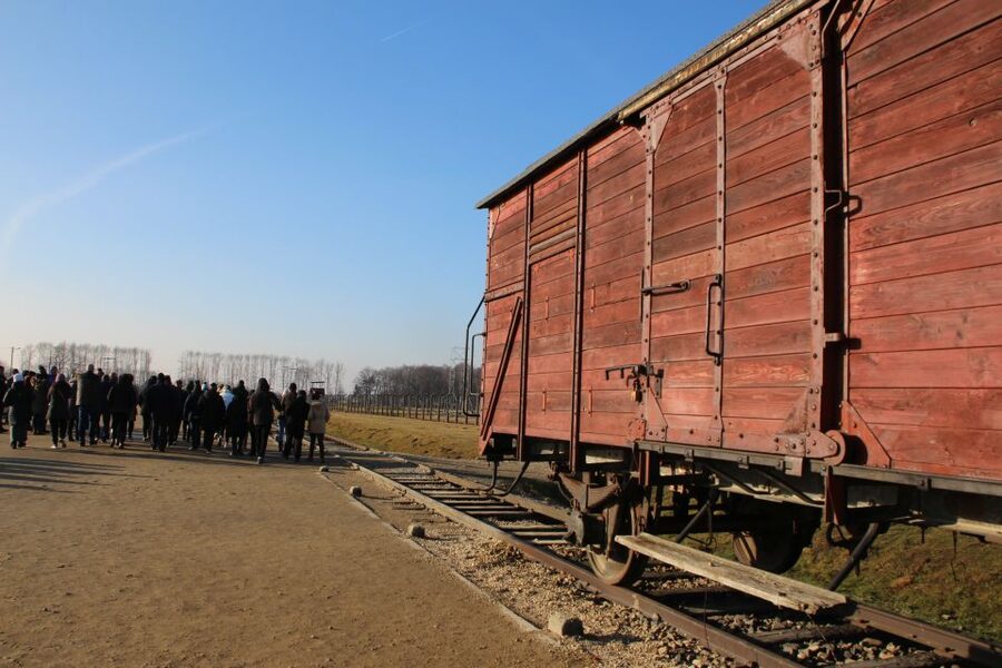 From Krakow: Auschwitz-Birkenau and Self-Guided Day Tour - Who should choose this tour?