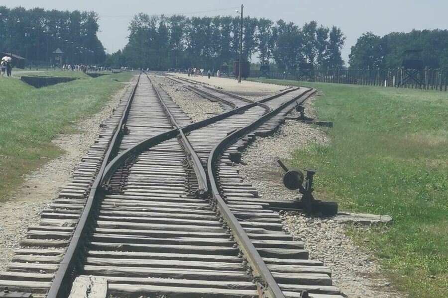 From Krakow: Auschwitz-Birkenau Camp Complex Guided Day Trip - Who will get the most from this trip?