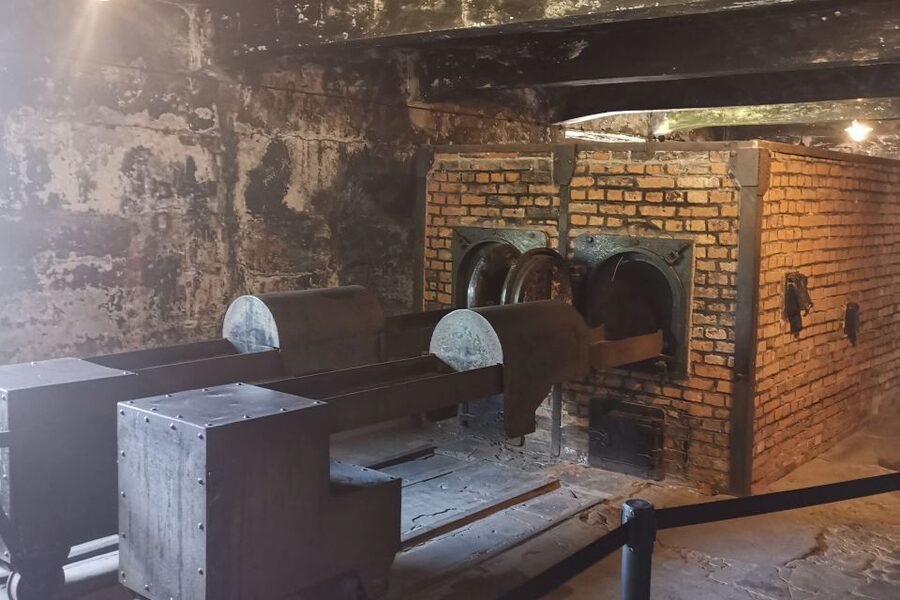 From Krakow: Auschwitz-Birkenau Camp Complex Guided Day Trip - Understanding daily life and the role of Monowitz