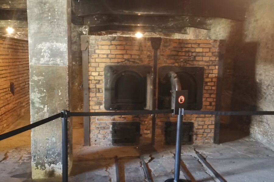 From Krakow: Auschwitz-Birkenau Camp Complex Guided Day Trip - Italian guiding and the pace of the day