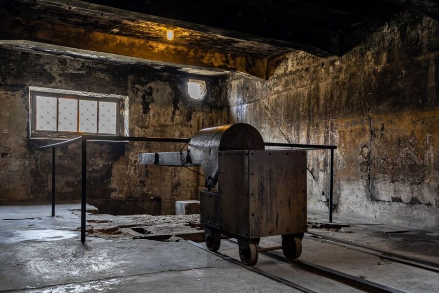 From Krakow: Auschwitz-Birkenau Full-Day Guided Tour - What makes Birkenau so different