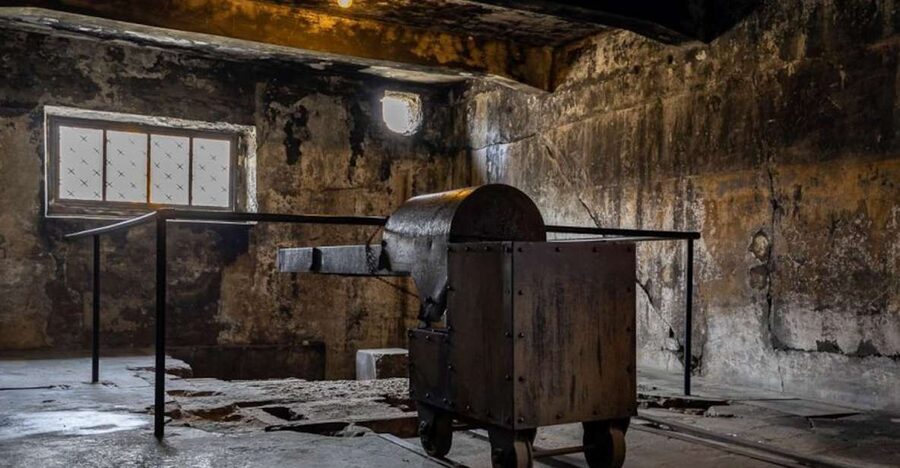 From Krakow: Auschwitz-Birkenau Full-Day Tour - Why this Krakow day trip matters