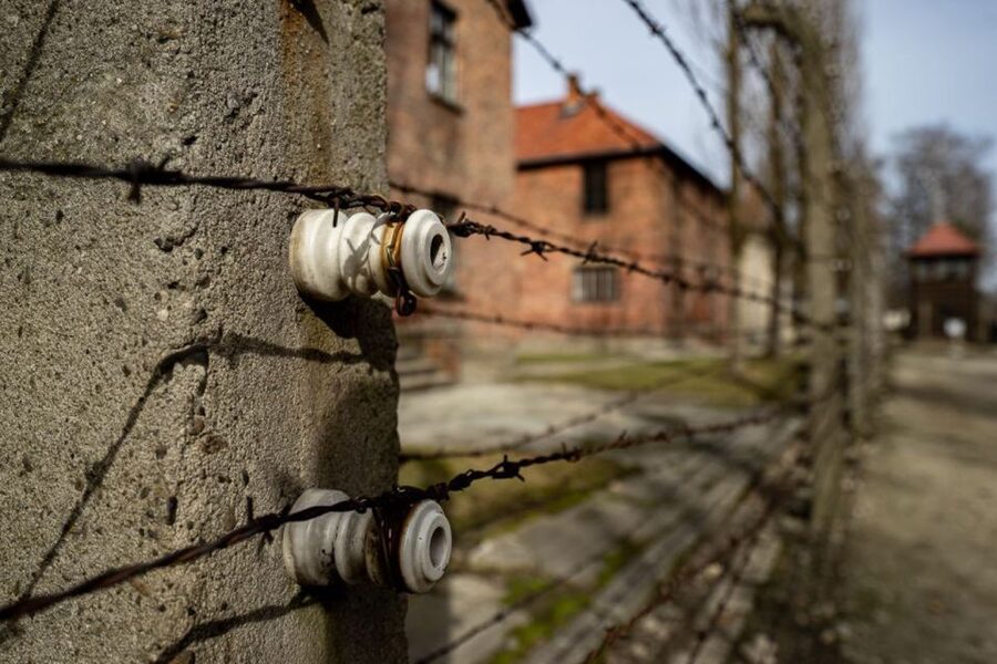 From Krakow: Auschwitz-Birkenau Full-Day Tour - Who should choose this experience?