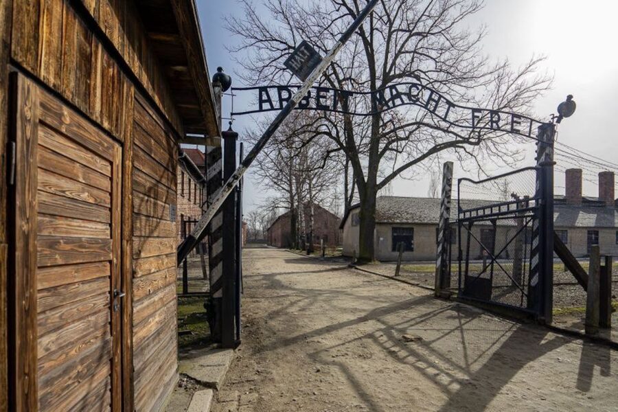 From Krakow: Auschwitz-Birkenau Full-Day Tour - Practical advice for a respectful visit