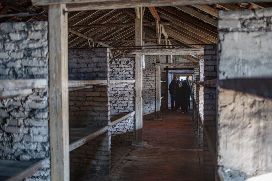 From Krakow: Auschwitz-Birkenau Guided Full-Day Tour - Who will get the most from this tour?
