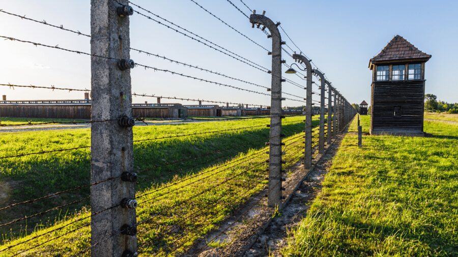 From Krakow: Auschwitz-Birkenau Guided Tour Guaranteed Time - Entering Auschwitz I through Arbeit Macht Frei
