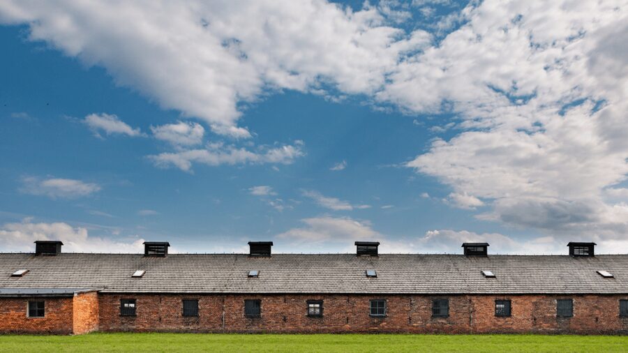 From Krakow: Auschwitz-Birkenau Guided Tour Guaranteed Time - What the guide adds to the experience