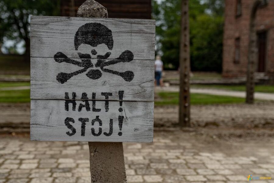 From Krakow: Auschwitz-Birkenau Guided Tour Guaranteed Time - Is $53 good value?