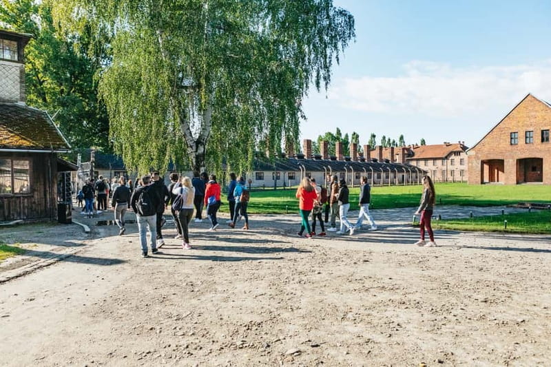 From Krakow: Auschwitz-Birkenau Guided Tour & Hotel Pickup - Auschwitz II-Birkenau and the wider camp system