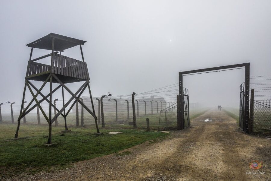 From Krakow: Auschwitz-Birkenau Guided Tour & Pickup - Transport, queues, and the value of the package
