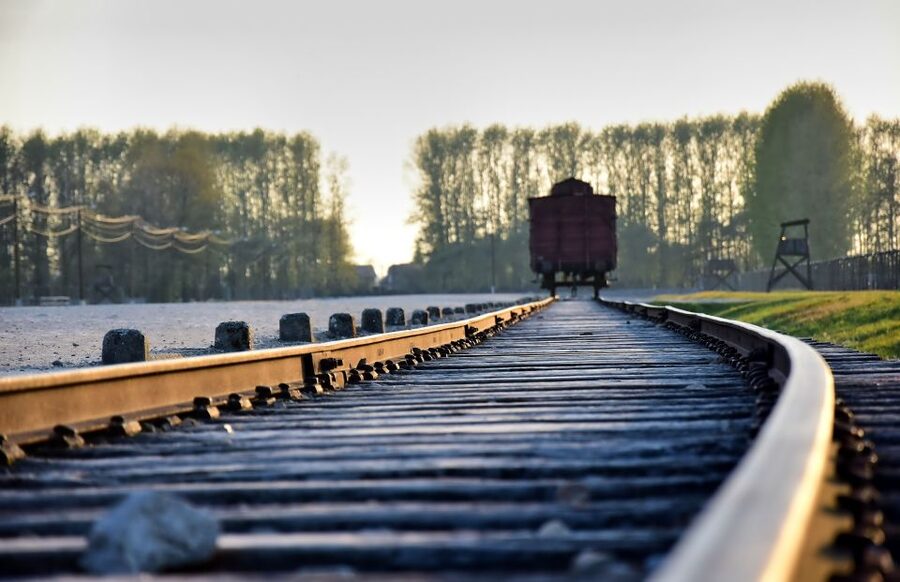 From Krakow: Auschwitz-Birkenau Guided Tour & Pickup - Bags, identity documents, and food