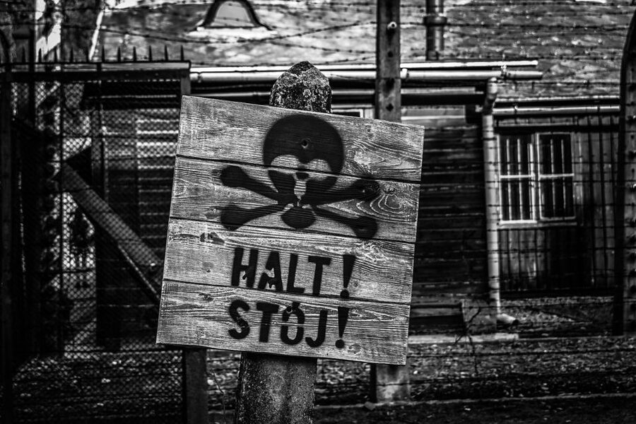 From Krakow: Auschwitz-Birkenau Guided Tour & Transport - The Short Transfer to Birkenau