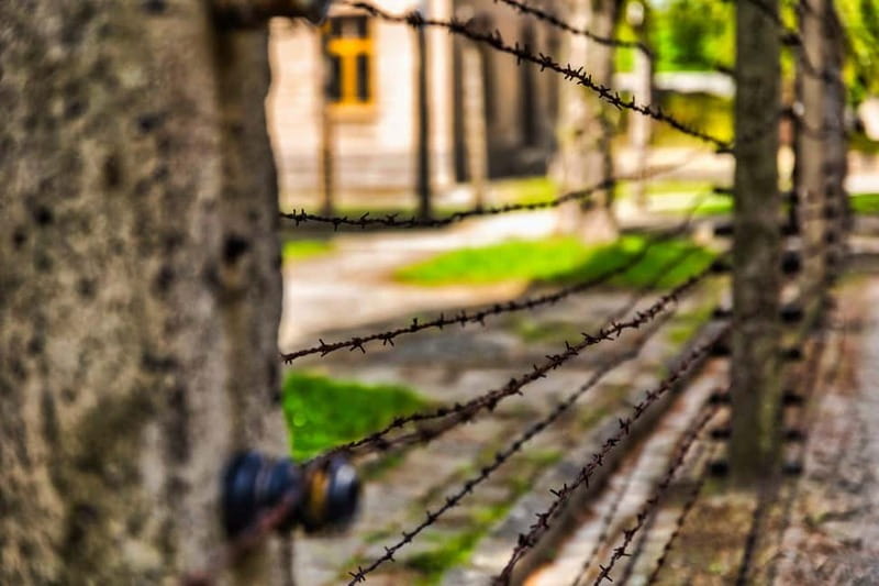 From Krakow: Auschwitz-Birkenau Guided Tour & Transport - How Good Is the Guiding?
