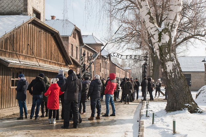 From Kraków: Auschwitz-Birkenau Guided Tour with Licensed Guide - Transport, communication, and timing problems