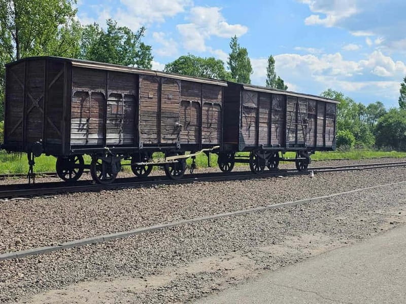 From Krakow: Auschwitz-Birkenau Guided Tour with Pickup - Pickup from Krakow and the long ride south
