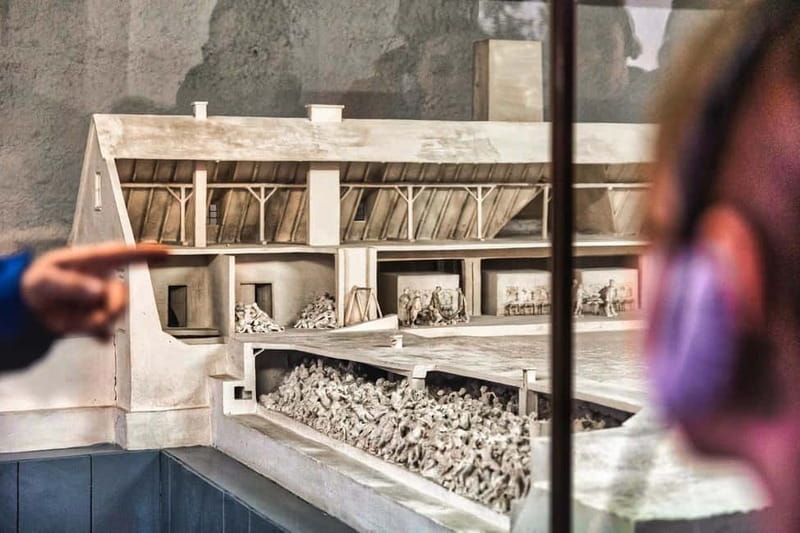 From Krakow: Auschwitz-Birkenau Guided Tour with Transport - The emotional side of the visit