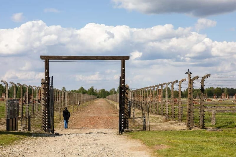 From Krakow: Auschwitz-Birkenau Guided Tour with Transport - Comfort, timing, and the $53 price