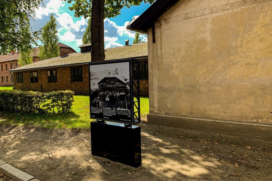 From Krakow: Auschwitz-Birkenau Memorial and Museum Tour - Should you book the Auschwitz-Birkenau tour from Krakow?