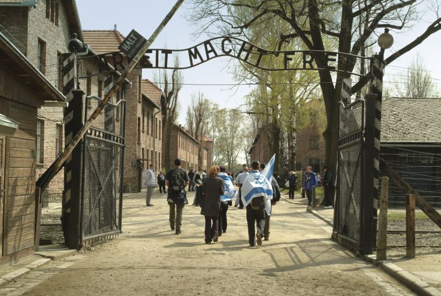 From Krakow: Auschwitz-Birkenau Memorial and Museum Tour - Auschwitz I: prison blocks, exhibitions, and evidence