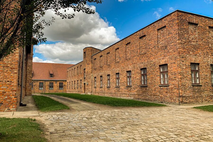 From Krakow: Auschwitz-Birkenau Memorial and Museum Tour - A guide makes the difficult material easier to follow