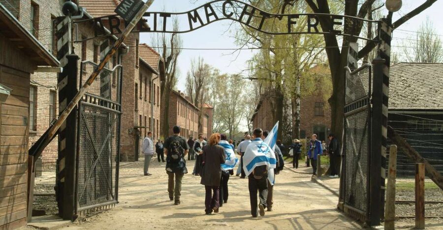 From Krakow: Auschwitz-Birkenau Memorial and Museum Tour - Is the $81 price good value?