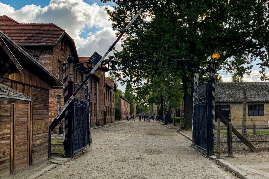 From Krakow: Auschwitz-Birkenau Memorial and Museum Tour - Who should book this experience?