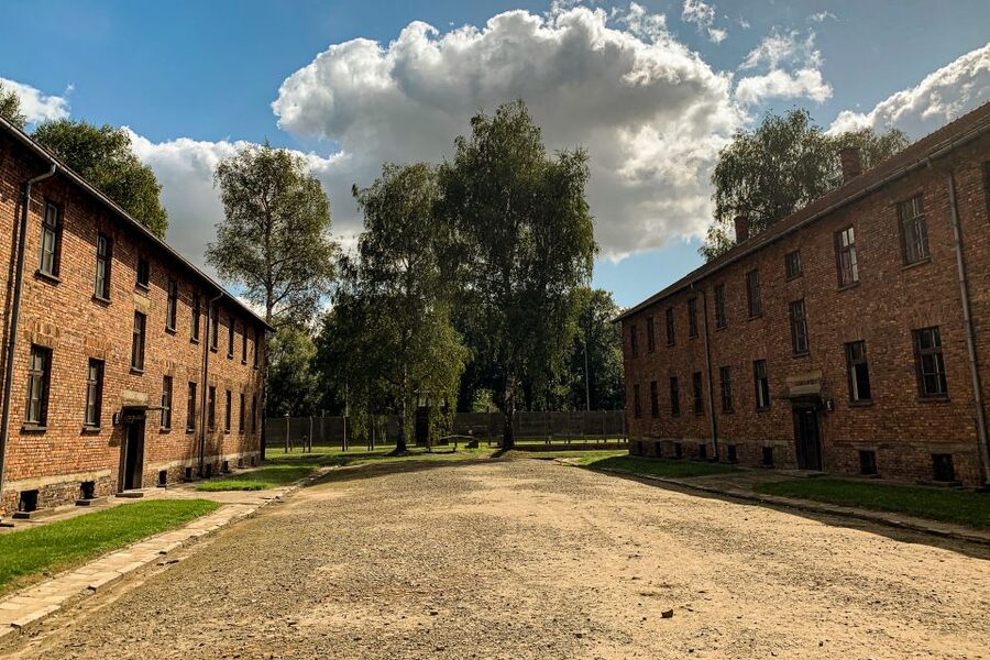 From Krakow: Auschwitz-Birkenau Memorial and Museum Tour - Leaving Krakow in an air-conditioned vehicle