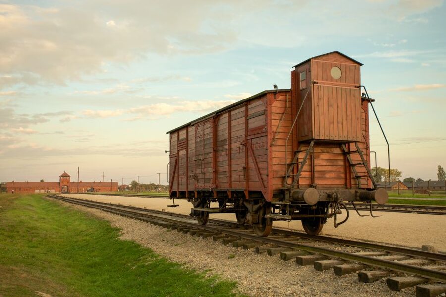 From Kraków: Auschwitz-Birkenau Memorial Guided Tour - Crossing to Birkenau and understanding the scale