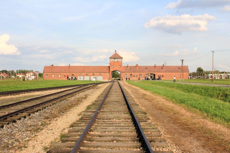 From Kraków: Auschwitz-Birkenau Memorial Guided Tour - The guide and the small-group format