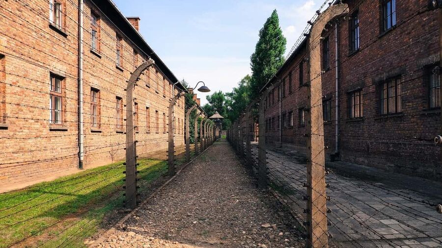 From Krakow: Auschwitz-Birkenau Memorial Private Tour - Lunch in Oswiecim and the long return