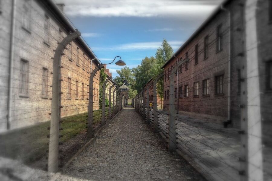 From Krakow: Auschwitz-Birkenau Private or Shared Tour - What the private option really gives you