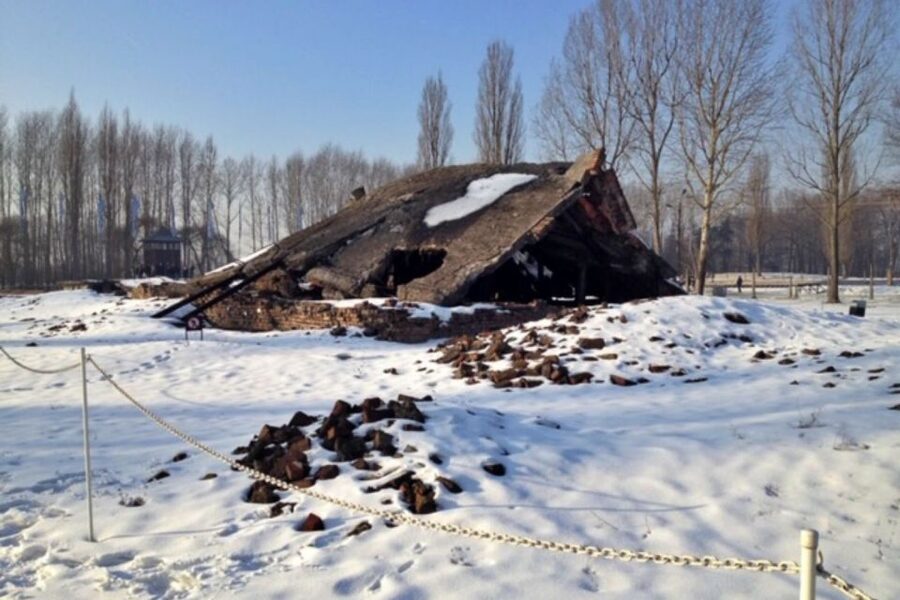From Krakow: Auschwitz-Birkenau Private or Shared Tour - The driver can add value beyond the ticket