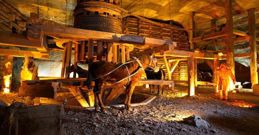From Krakow: Auschwitz-Birkenau & Salt Mines with Lunch - Key points to know before booking